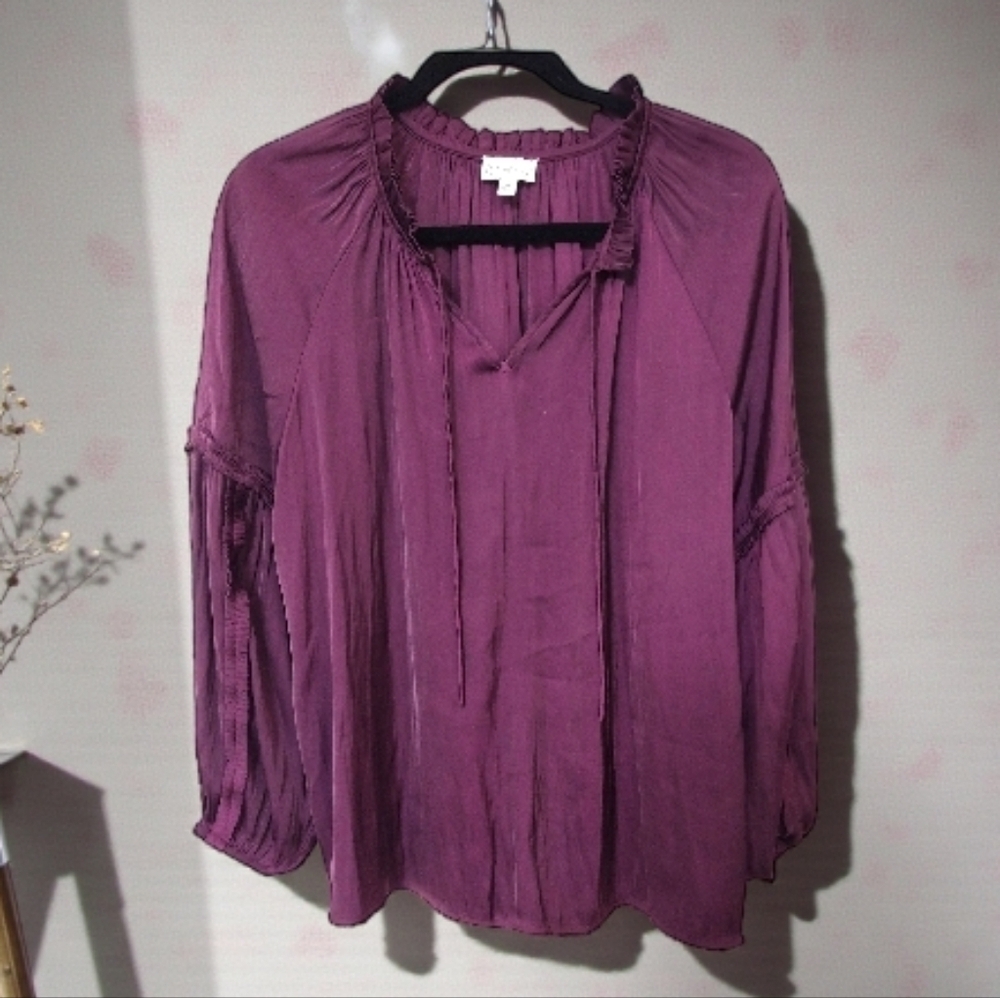 Wonderly Plum Women's V-neck Blouse, M